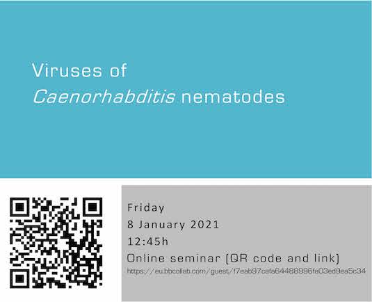 Viruses of Caenorhabditis nematodes